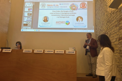 Rimini-3